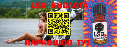 молекула духа Будённовск