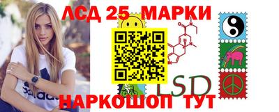 молекула духа Будённовск